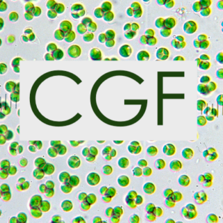 CGF (Chlorella Growth Factor)